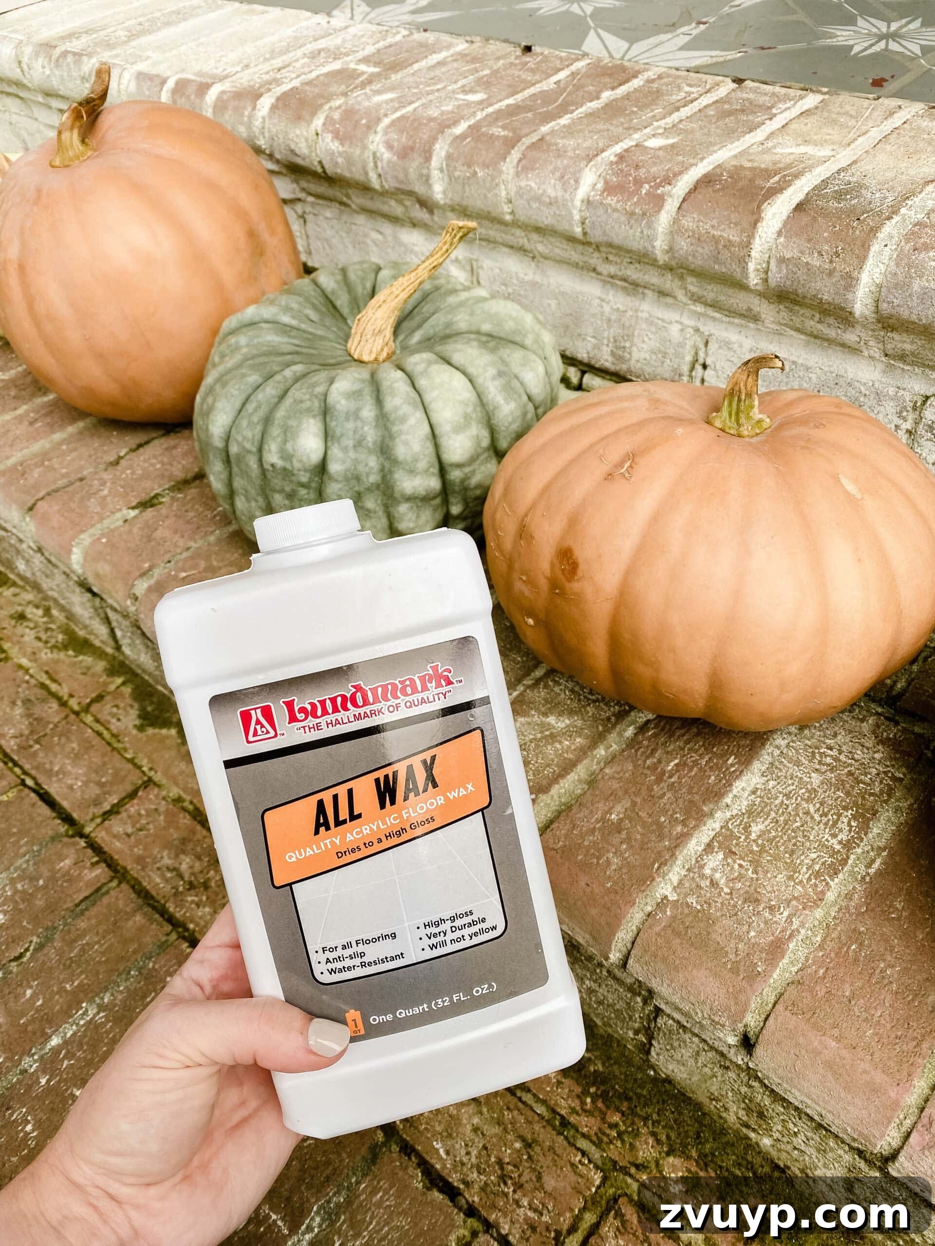 Prevent Pumpkin Rot 1 Minute Hack 5 how to keep pumpkins from rotting using floor wax
