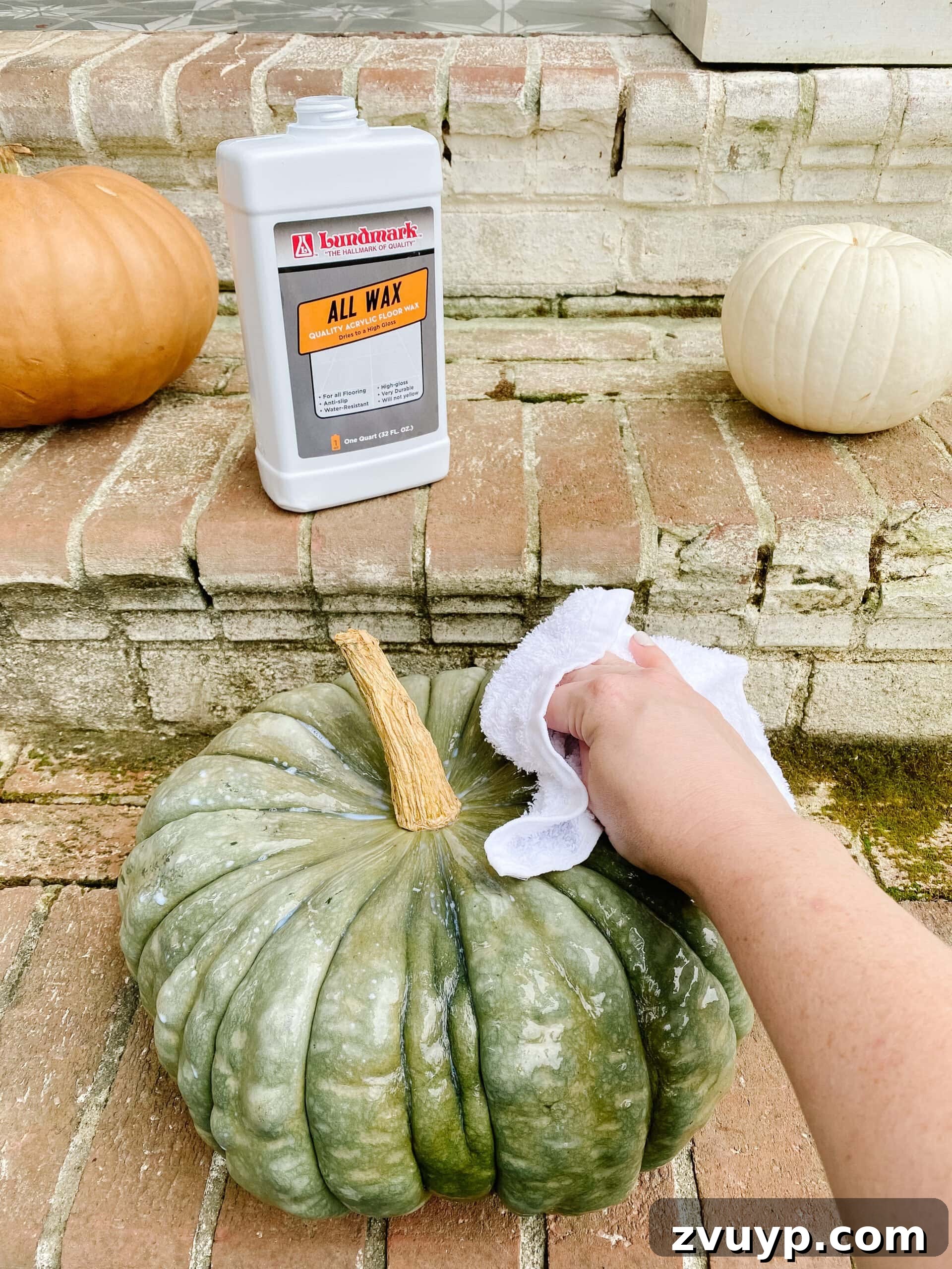 Prevent Pumpkin Rot 1 Minute Hack 6 how to make pumpkins last longer using floor wax