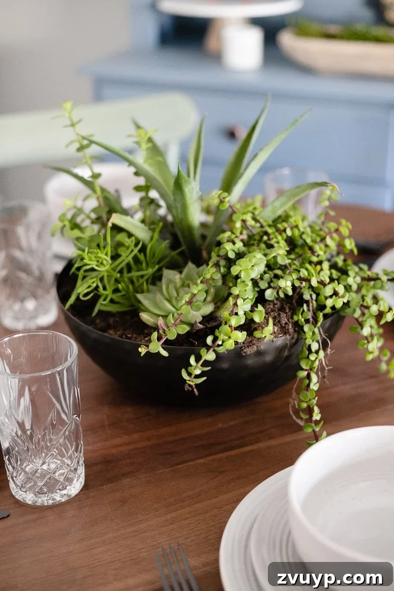 7 Instant Makeovers for Your Dining Nook 10 bowl planter succulent garden