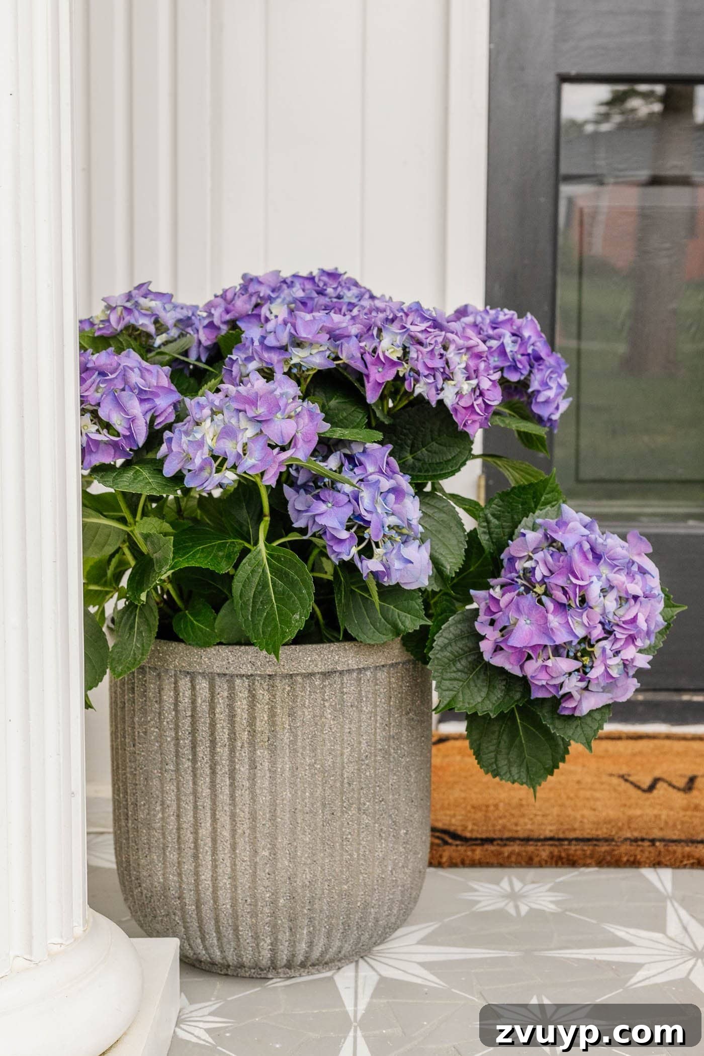 DIY Faux Concrete Planters: The Spray Paint Secret 10 finished faux DIY concrete planters with fluted detail and purple hydrangea flowers on a front porch