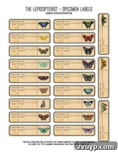 Collage with butterflies on vintage-style labels