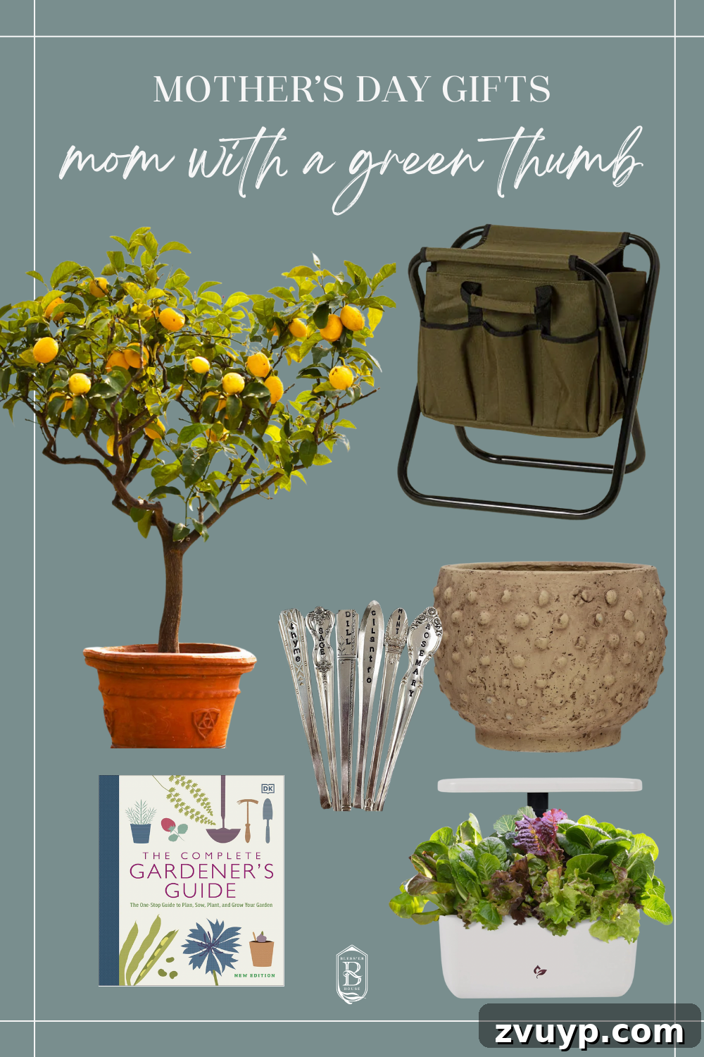 The Mother's Day Wishlist: What Moms Actually Desire 6 A selection of gardening tools and plants for the green-thumbed mom