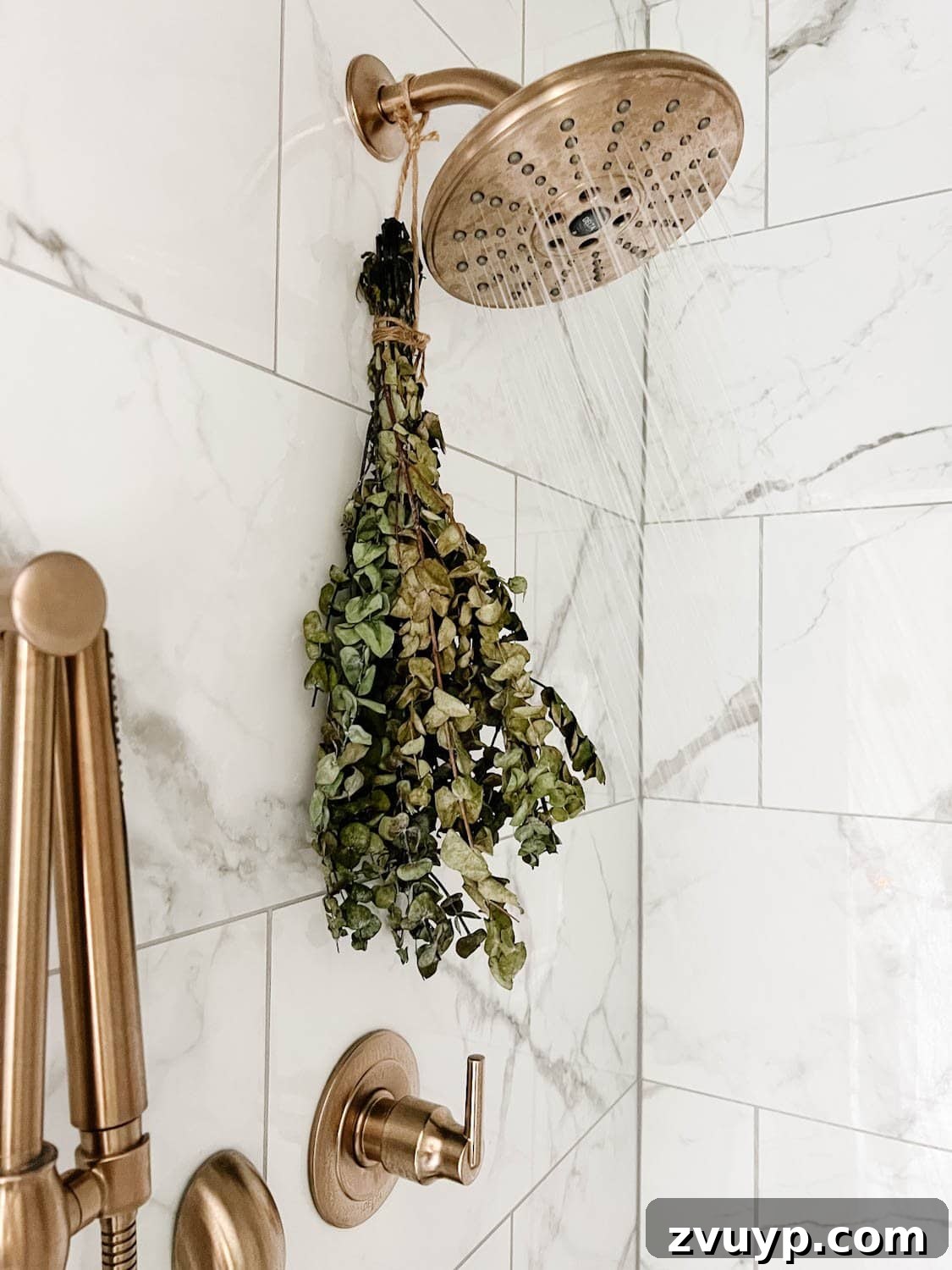 Spa Chic on a Shoestring: Elevate Your Bathroom 6 eucalyptus hanging from shower head for aromatherapy