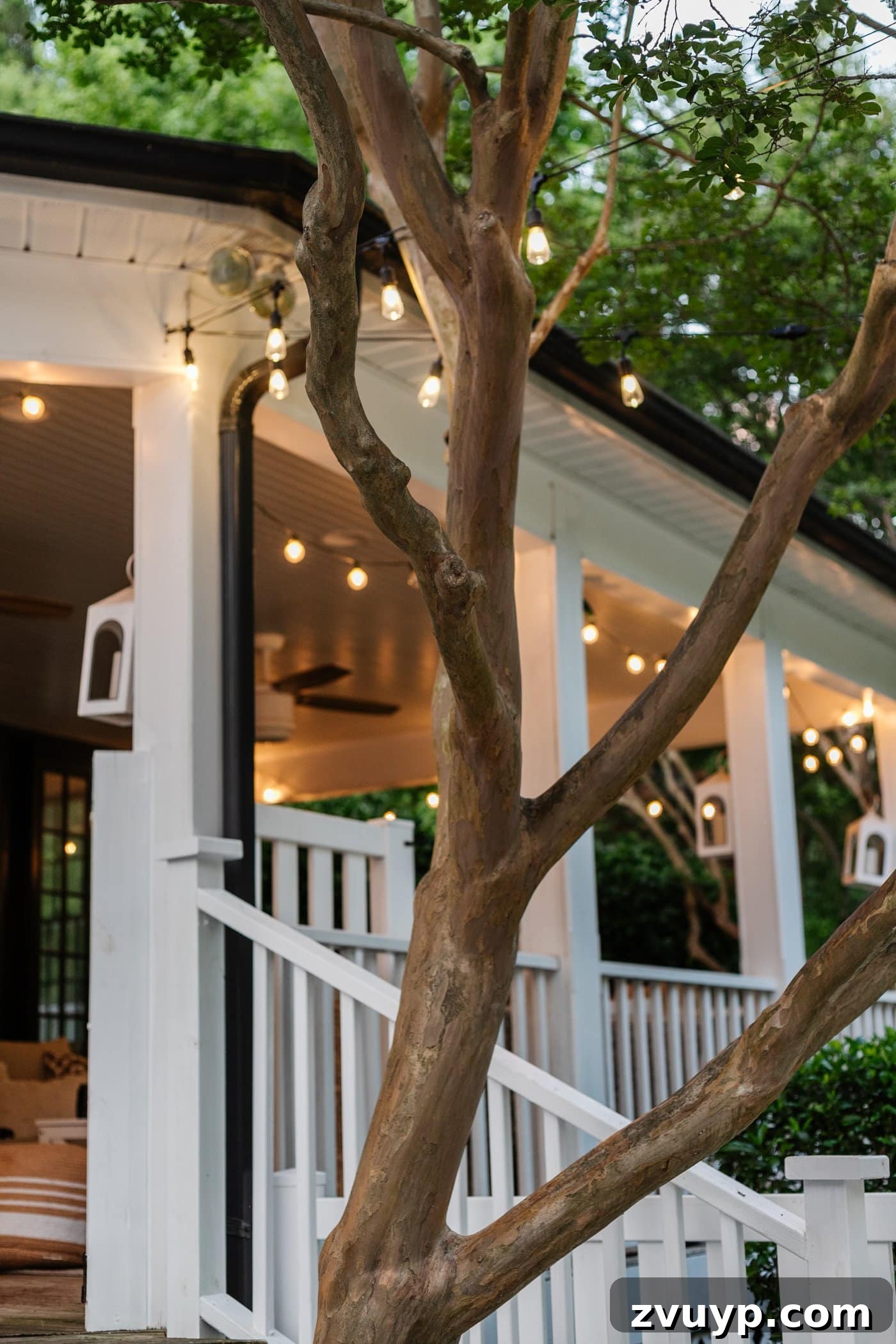 No Poles, No Problem: Creative Ways to Hang Backyard String Lights 6 lights hanging from a house through trees