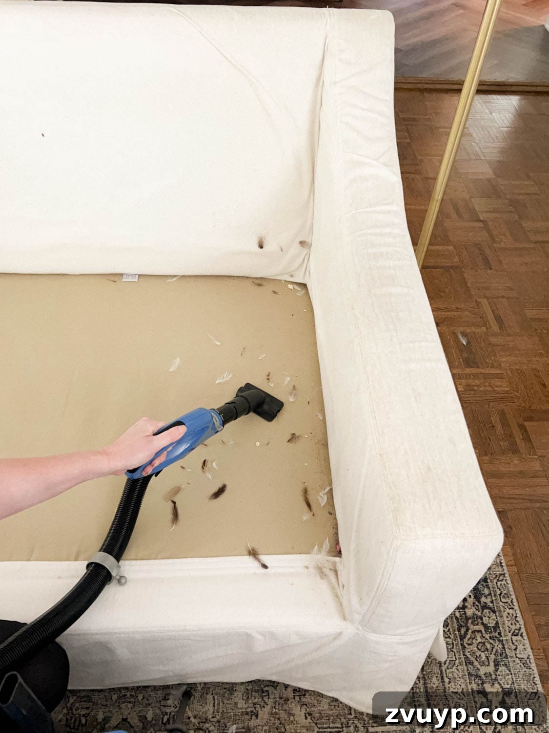 Revive Your Fabric Furniture The Ultimate Upholstery Deep Clean 7 Vacuum cleaner wand removing debris and dust from underneath sofa cushions.