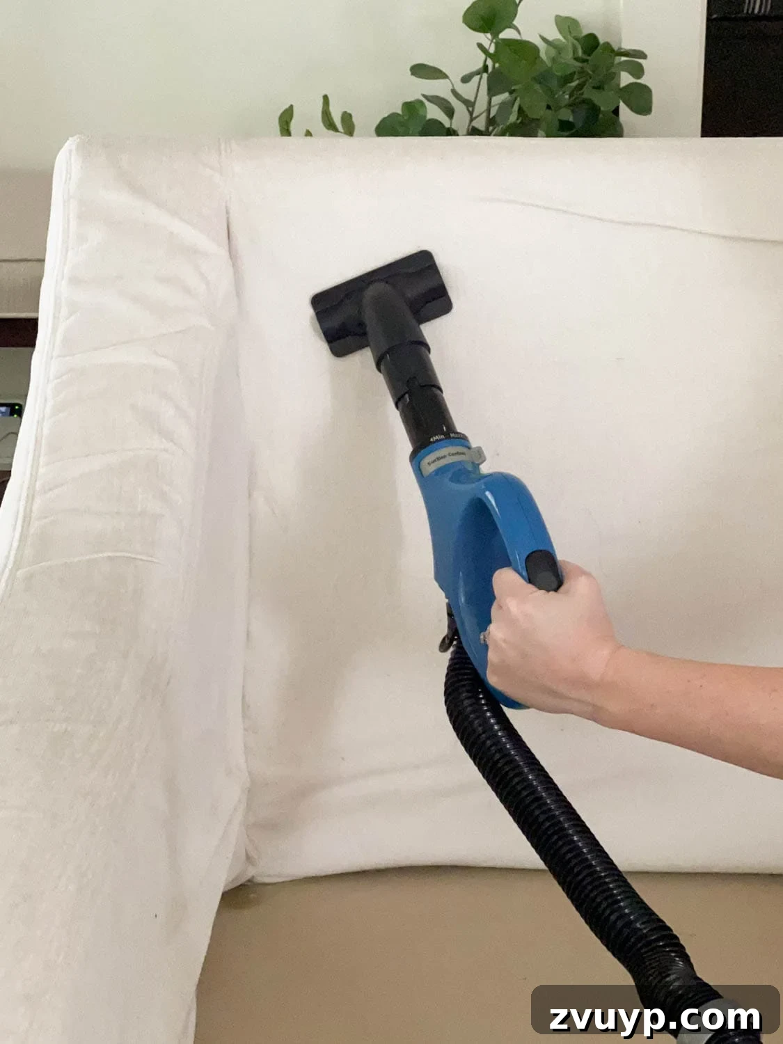 Revive Your Fabric Furniture The Ultimate Upholstery Deep Clean 8 A person cleaning sofa upholstery with a vacuum wand attachment, removing lint and pet hair.