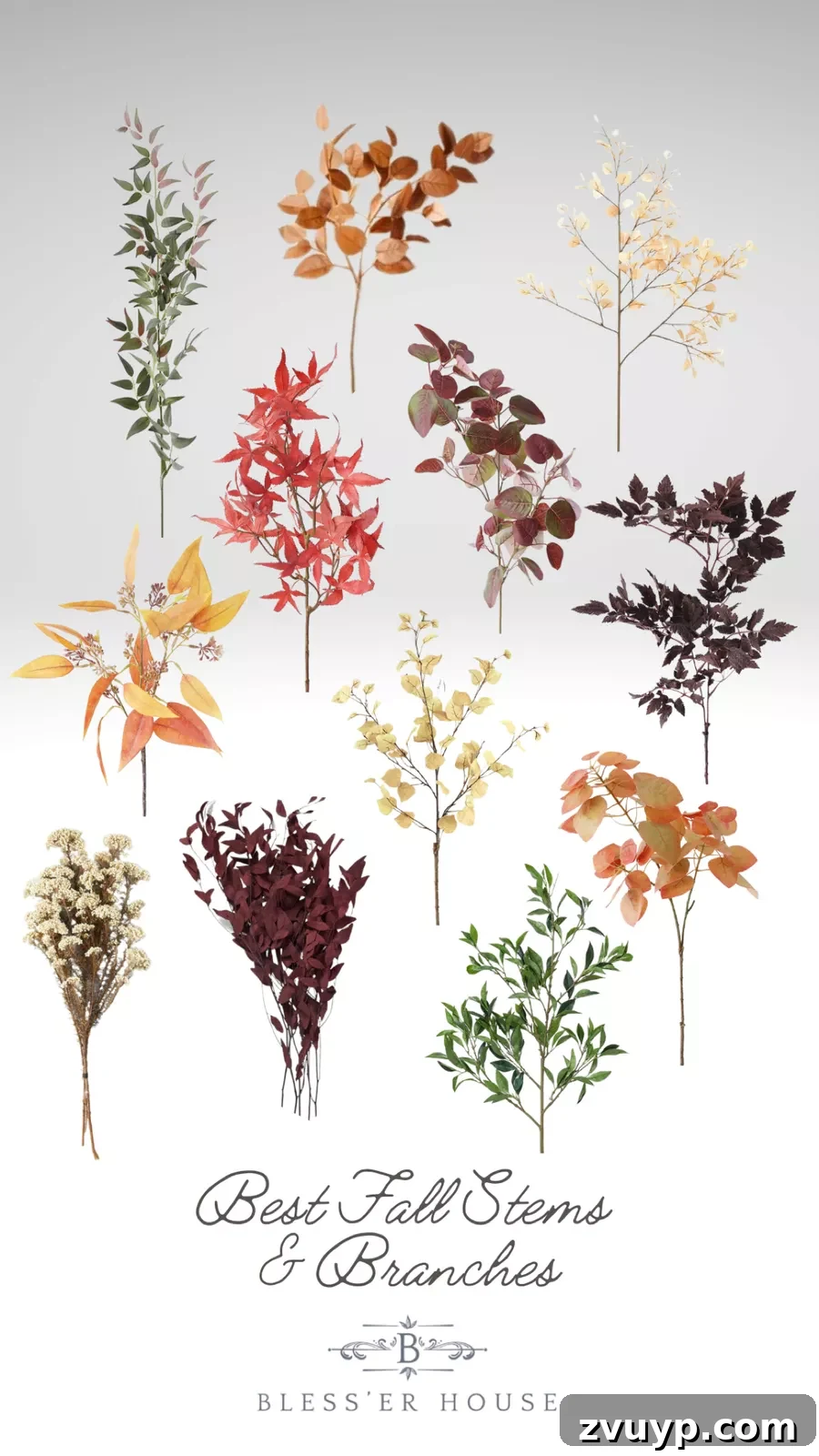 best fall branches and stems