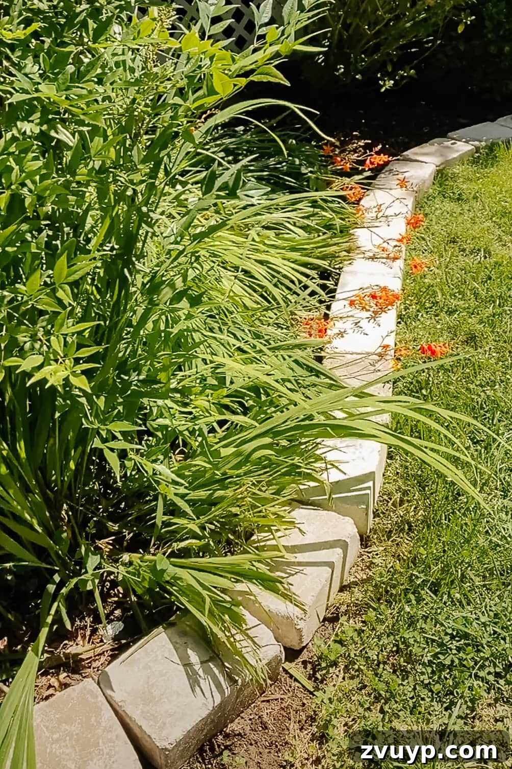 Effortless Backyard DIY: Create Your Dream Outdoor Space on a Budget 15 elegant stone edgers installed around a flower bed, showcasing professional-looking landscape design
