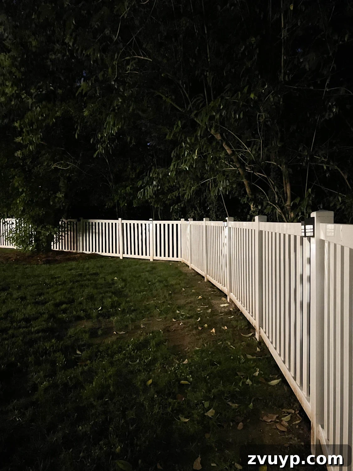 Effortless Backyard DIY: Create Your Dream Outdoor Space on a Budget 10 solar lights mounted on a backyard fence, illuminating the perimeter at night