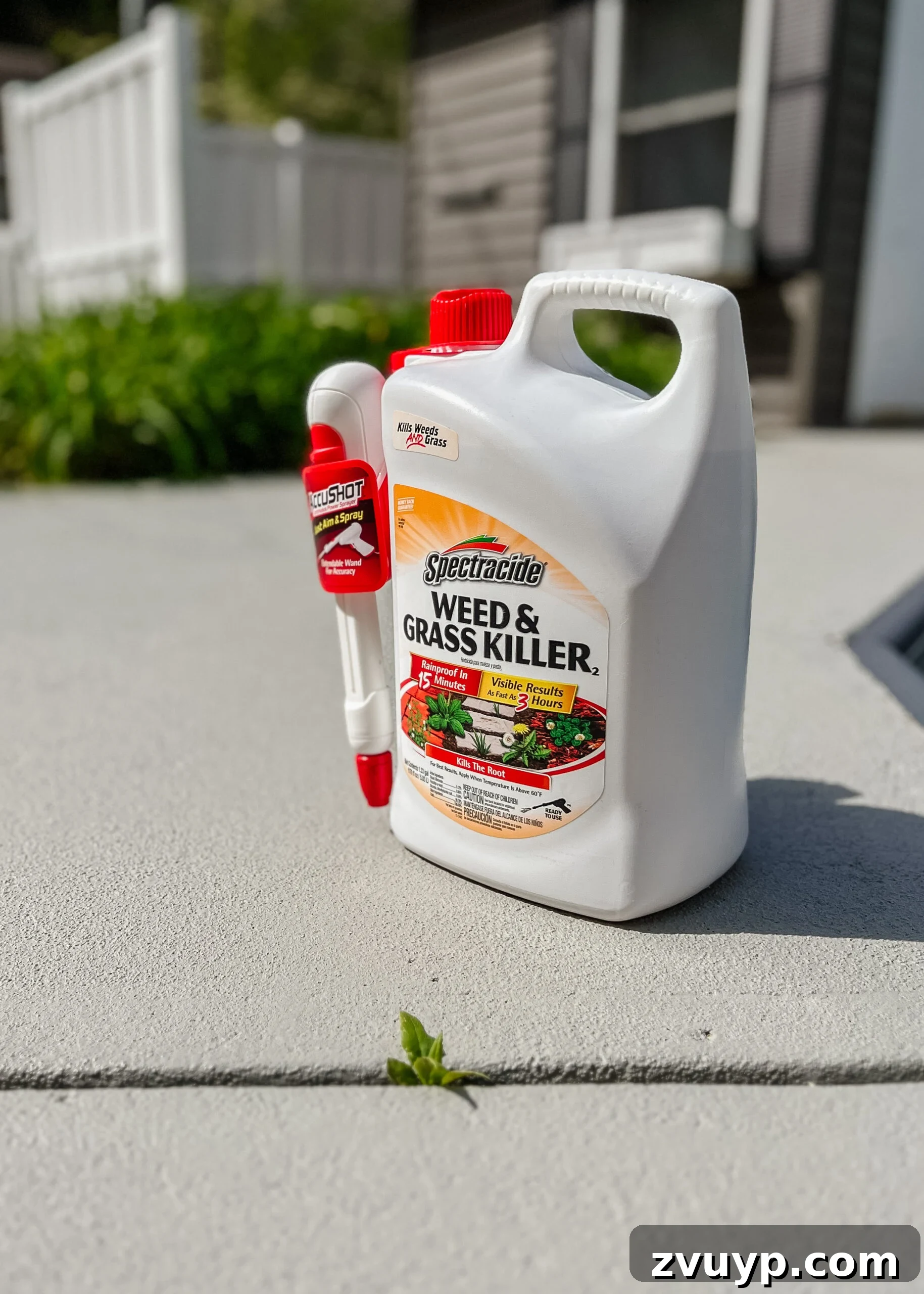 Effortless Spring Patio Refresh 6 spraying for weed removal using spectracide between walkway cracks