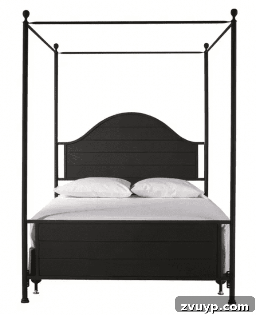 Tarz Sahibi ve Hesaplı 18 Modern Vintaj Yatak Önerisi 18 black metal canopy bed