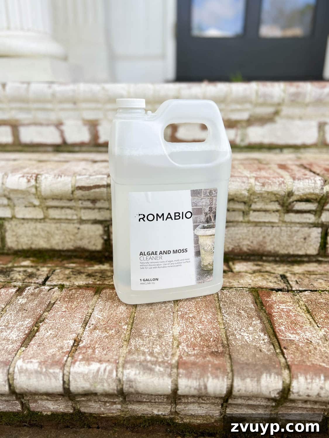 Pristine Limewashed Brick A Comprehensive Care Guide 12 Bottle of Romabio Algae and Moss Cleaner, an effective solution for exterior cleaning