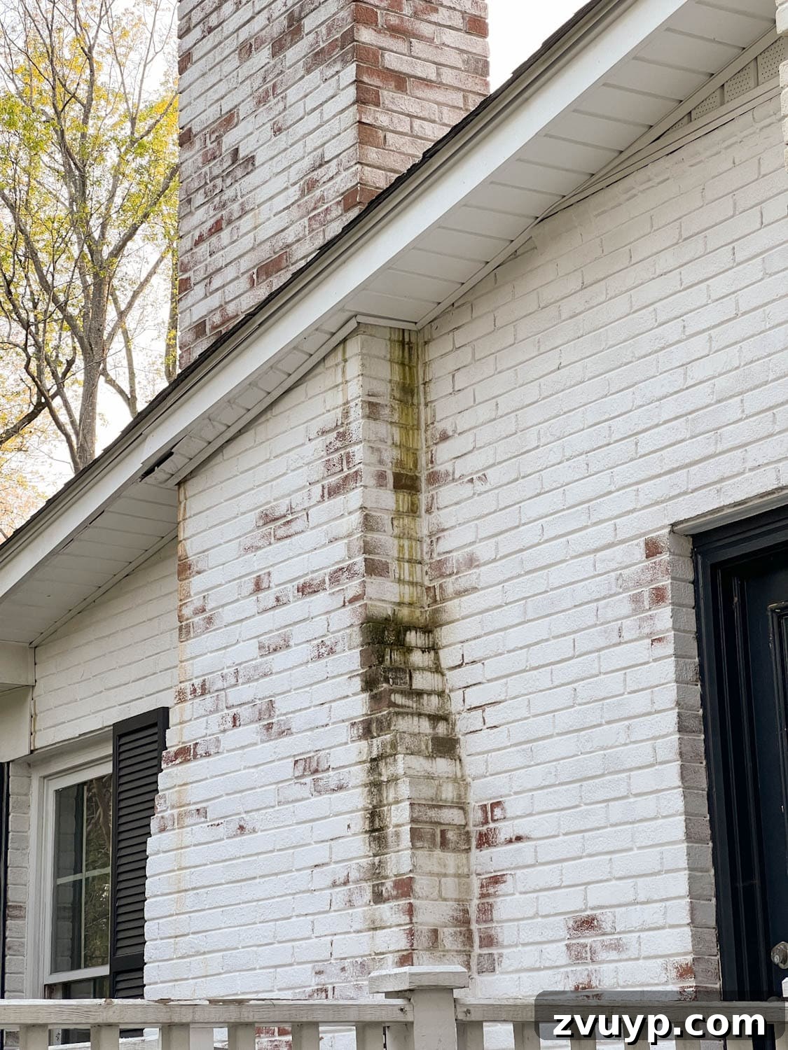 Pristine Limewashed Brick A Comprehensive Care Guide 9 Close-up of dirty limewashed brick exterior with visible algae, moss, and mildew growth
