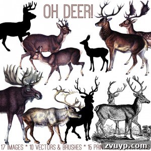 Spring Floral Watercolor Collection 3 Oh Deer Bundle