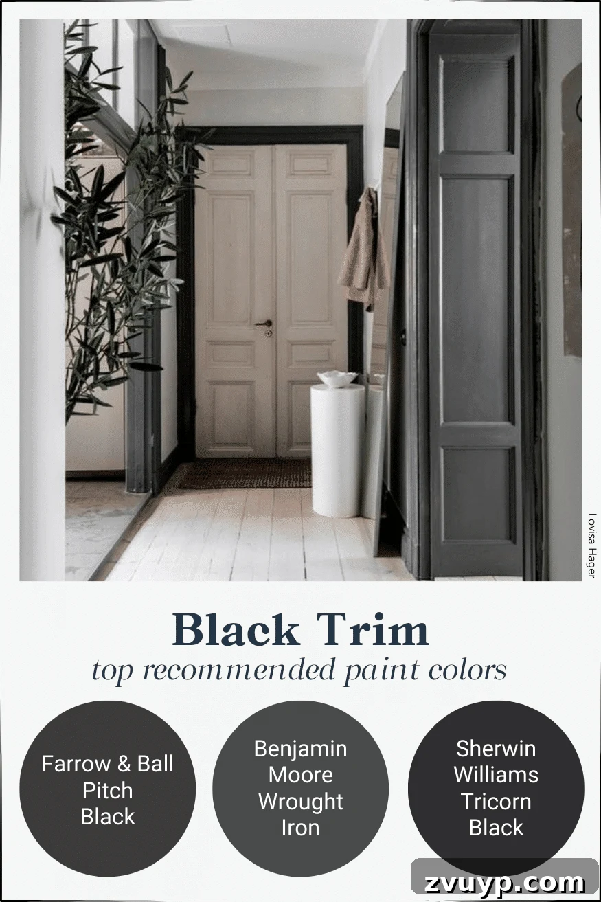Stunning Contrast Trim Paint Ideas 15 black contrast trim paint colors