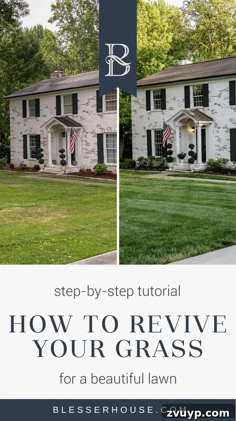 From Patchy to Pristine Our One-Year Front Yard Makeover 2 front yard lawn makeover with simplified lawn care steps