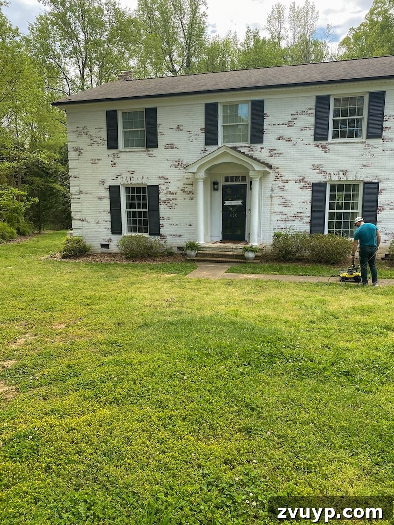 From Patchy to Pristine Our One-Year Front Yard Makeover 4 limewashed brick house before lawn makeover