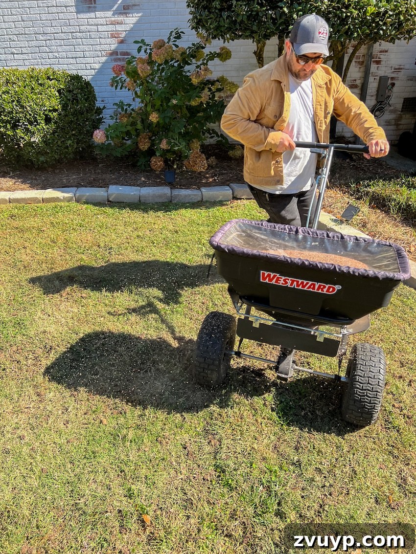 From Patchy to Pristine Our One-Year Front Yard Makeover 9 planting grass seed and fertilizer with a seed spreader