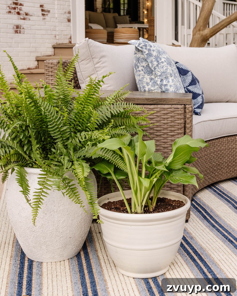 Affordable Outdoor Furniture Finds 5 white planters with ferns and hostas