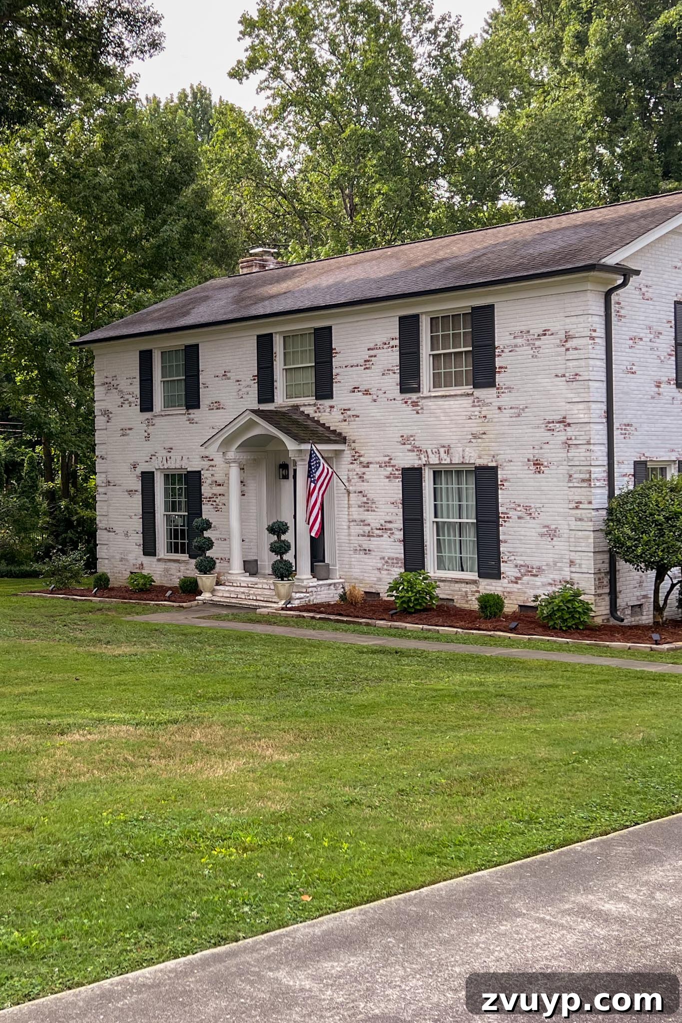Before image of a patchy, weed-filled lawn, showing the need for revival.