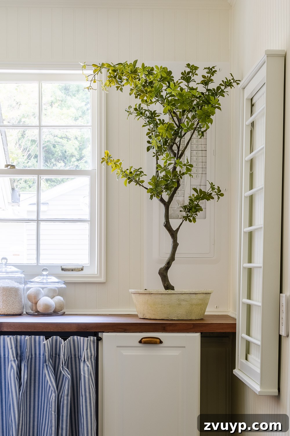 Narrow Laundry Room: Maximizing Every Inch 6 hidden electrical panel in white and potted tree in front