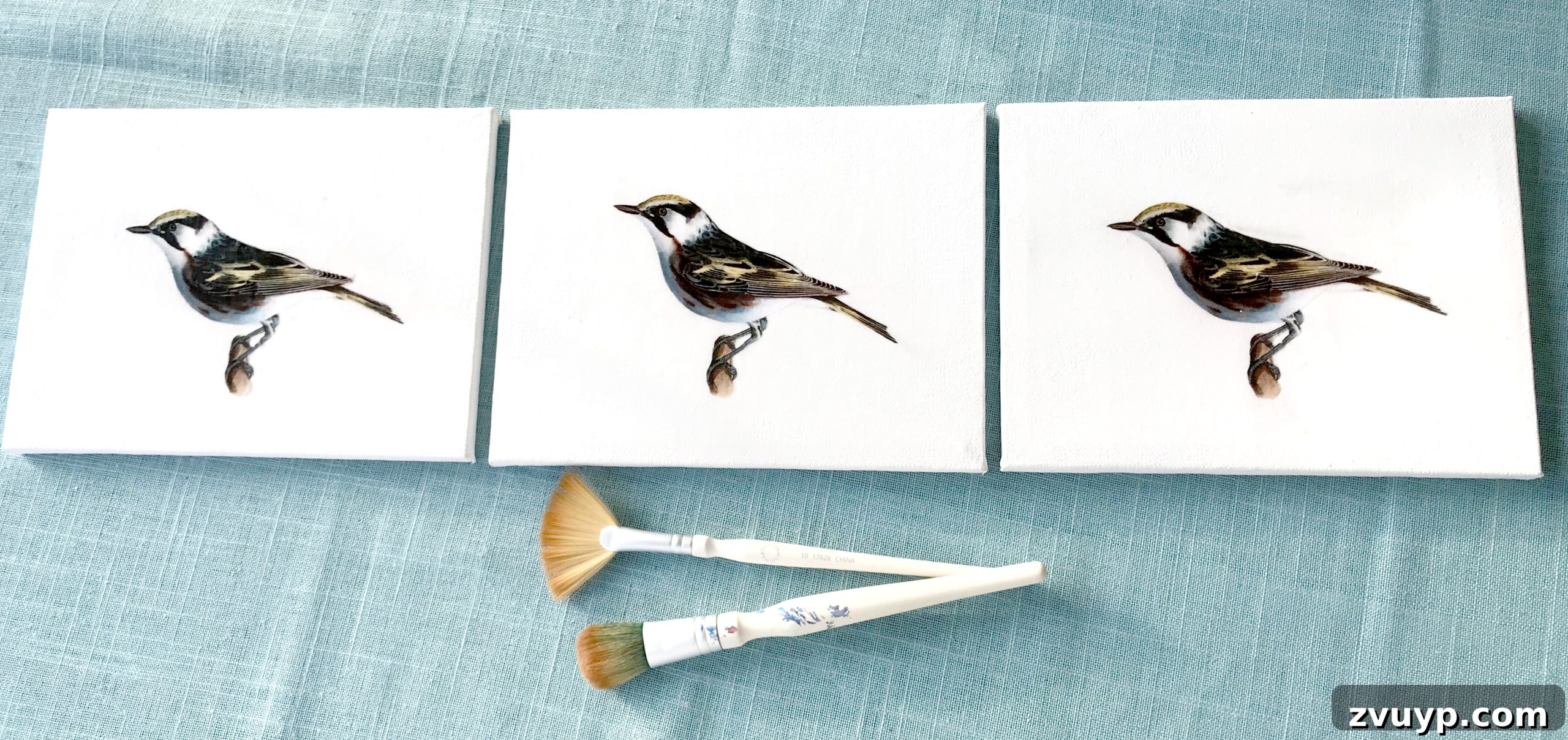 The Ultimate Guide to Decoupage Glue 7 Comparison of different decoupage mediums on bird images
