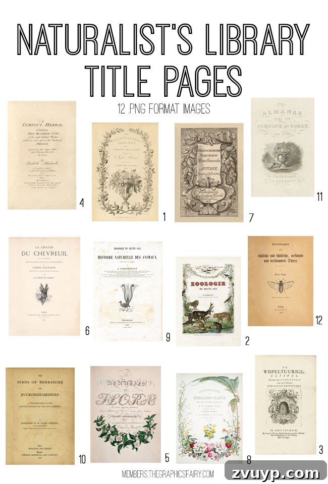 Vintage Nature's Library: Premium Creative Resources 3 Extensive Vintage Naturalists Library Digital Image Bundle