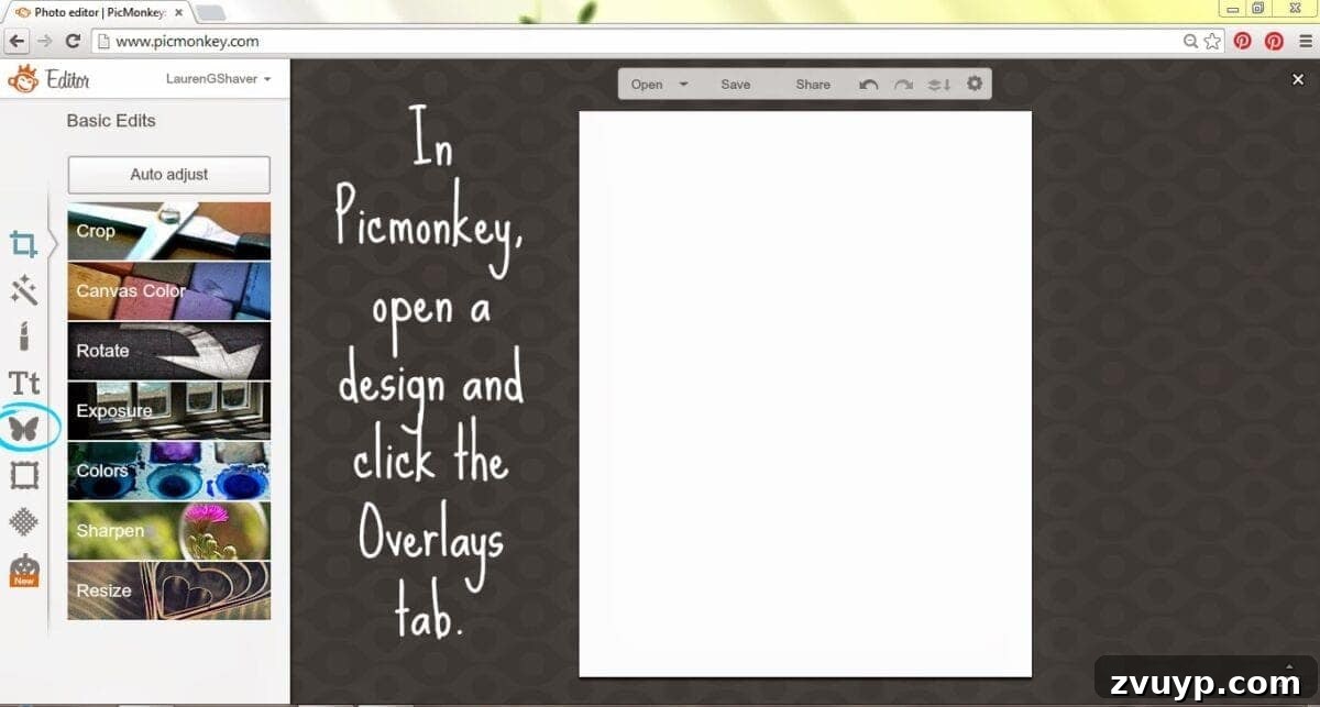 PicMonkey interface showing design tab and canvas size selection.