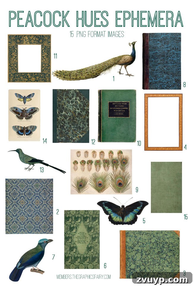 Graphics Fairy Premium Members Peacock Hues Ephemera Collection 3 Vintage Peacock Hues Ephemera Digital Image Bundle - showcasing various design elements