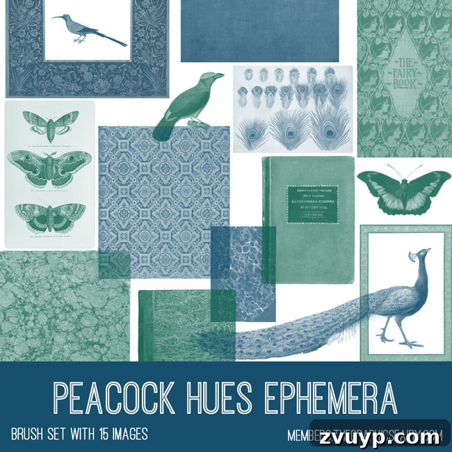 Graphics Fairy Premium Members Peacock Hues Ephemera Collection 4 Vintage Peacock Hues Ephemera Brush Set - digital brushes for Photoshop
