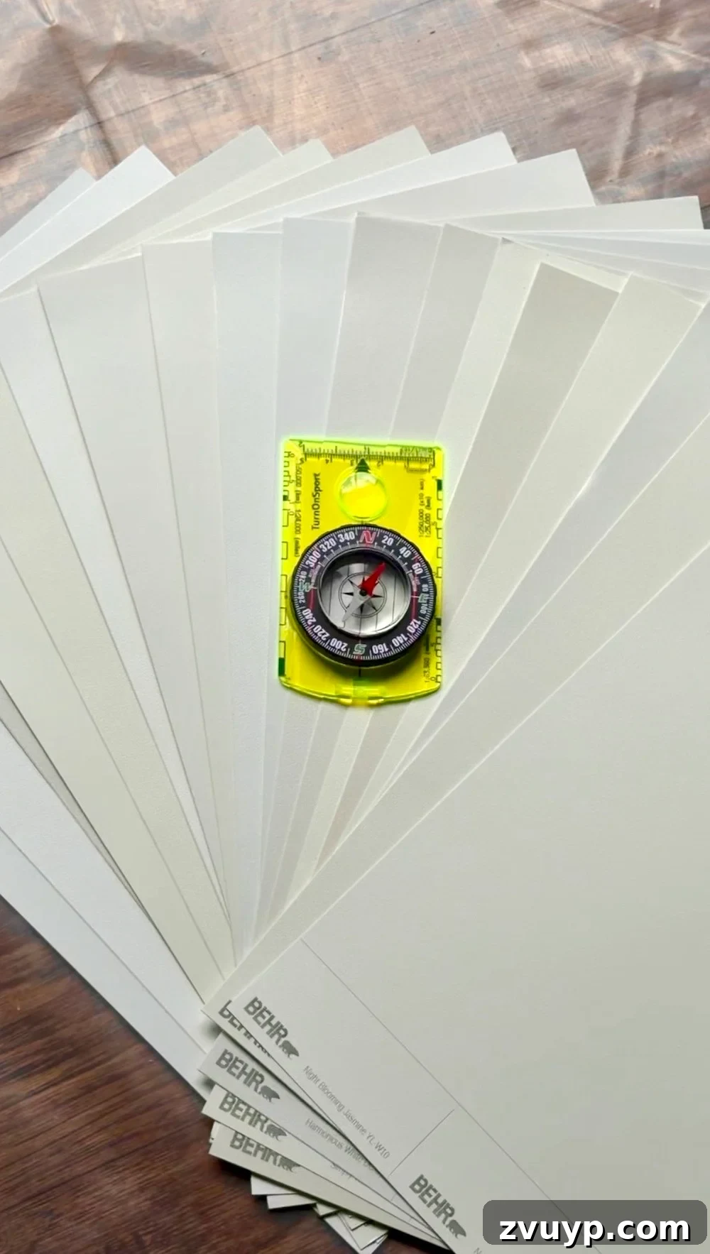 White Paint Shades by Room Orientation: Compass Trick 3 The Best White Paint Colors for Every Room Direction (Use This Compass Trick!)